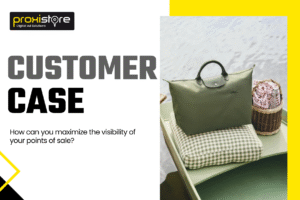 Read more about the article Customer case (luxury goods and leather goods sector) : Longchamp