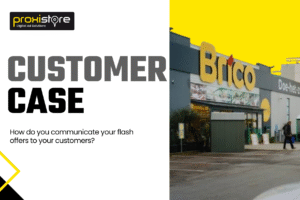 Read more about the article Customer case (DIY sector) : Brico